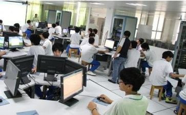 实训800字心得体会8篇