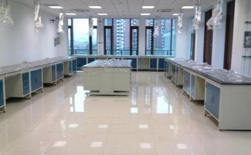 实验室下年度工作计划5篇