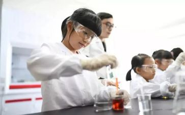 2023实验站年终总结5篇