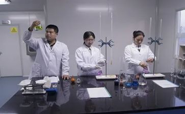 试验监理工作总结6篇