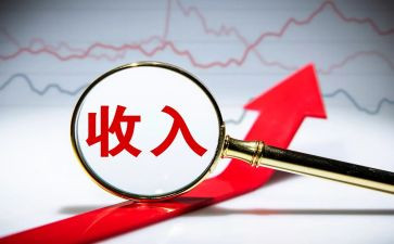 收入情况的调查报告5篇