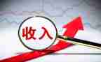 收入情况的调查报告5篇