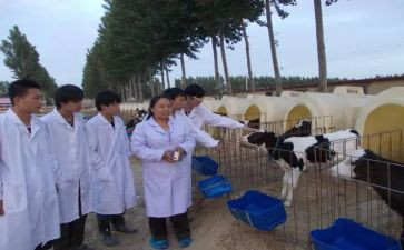 兽医站考核个人总结6篇