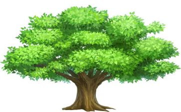 礼物树读后感最新5篇