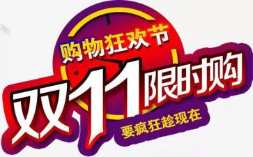 双11心得体会2000字最新8篇