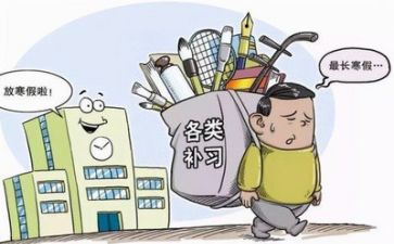 双减后培训心得6篇