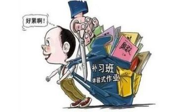 督学双减工作总结8篇