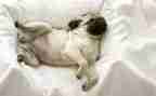 睡眠与健康的教案模板6篇