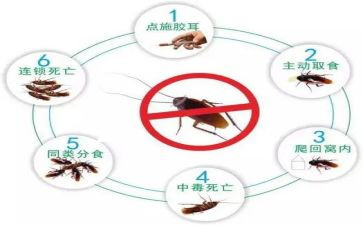 四害的工作计划5篇