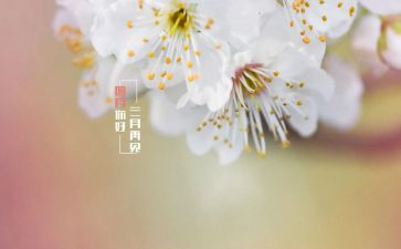 幼儿园大班四月工作总结6篇