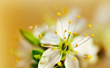 四月的工作计划小班7篇