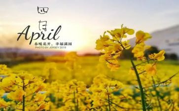 四月读书节活动方案6篇