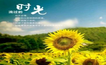 逝去岁月里的温馨作文6篇