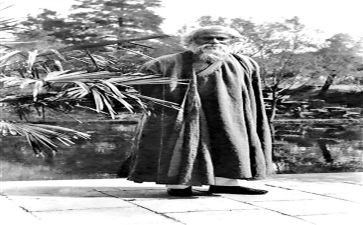 泰戈尔选读后感6篇