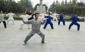 太极操心得体会8篇