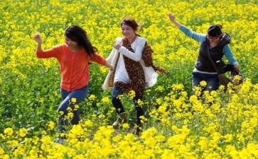 清明节踏青活动方案8篇
