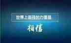 仰望星空和脚踏实地的作文8篇