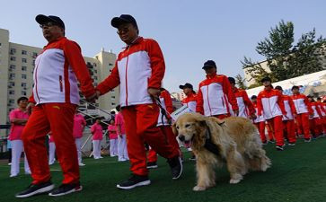 特教老师心得5篇