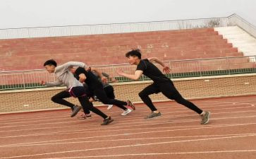 小学田径队运动会活动方案6篇