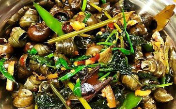 田螺作文400作文5篇