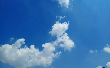 天气的作文300字5篇