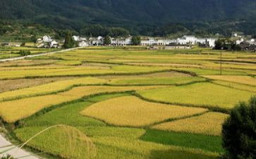 秋天的田野400字作文8篇