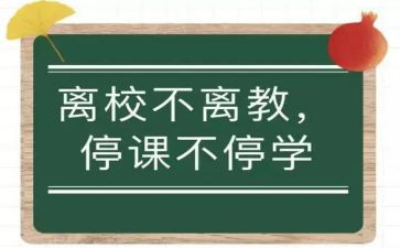 网课停课不停学心得体会7篇