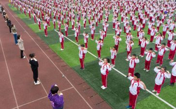 幼儿园体育活动的心得5篇