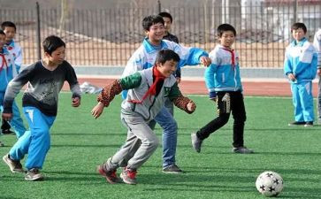 幼儿园体育活动培训心得体会6篇