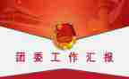 2023局团委工作计划参考5篇