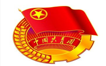 村团支部半年工作总结7篇