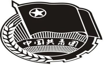 团组织委员述职报告6篇