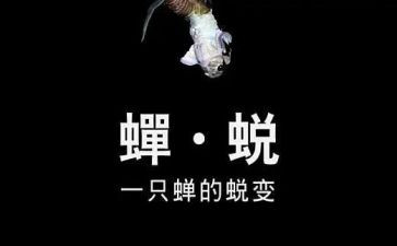 蜕变与成长作文8篇