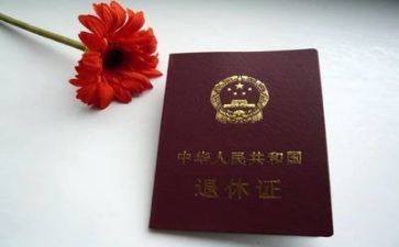 退休申请书2022年6篇