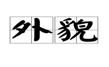 关于外貌的作文通用5篇