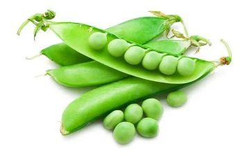 豌豆与公主读后感8篇