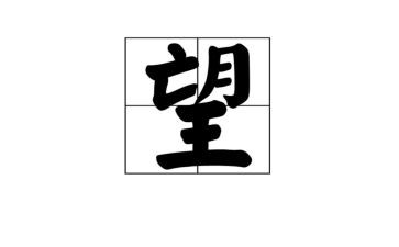 稻田里守望者读后感6篇