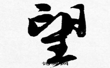 望星空作文模板8篇