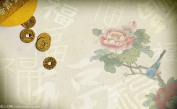 文化的作文最新5篇