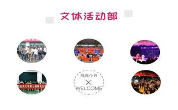 区文体活动总结参考7篇