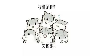 在文体部工作总结6篇