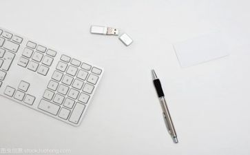 2024年文员年度总结最新5篇