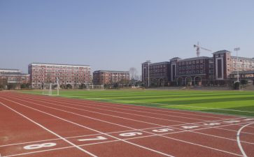 “我的校园”作文模板7篇