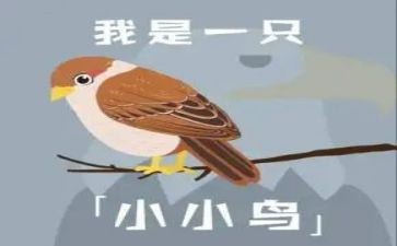 音乐教案小鸟小鸟教案通用7篇