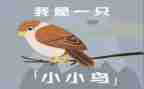 音乐教案小鸟小鸟教案通用7篇