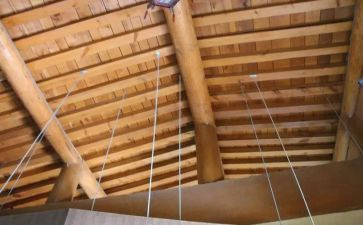 握住我的手作文7篇