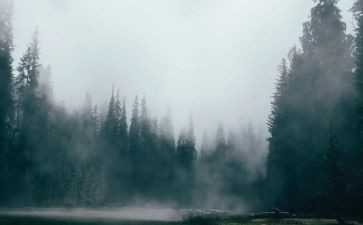 雾的读后感30字6篇