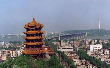 武汉2024作文最新8篇