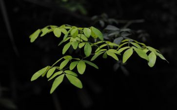 无聊的假期作文8篇