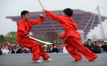 学武术作文6篇
